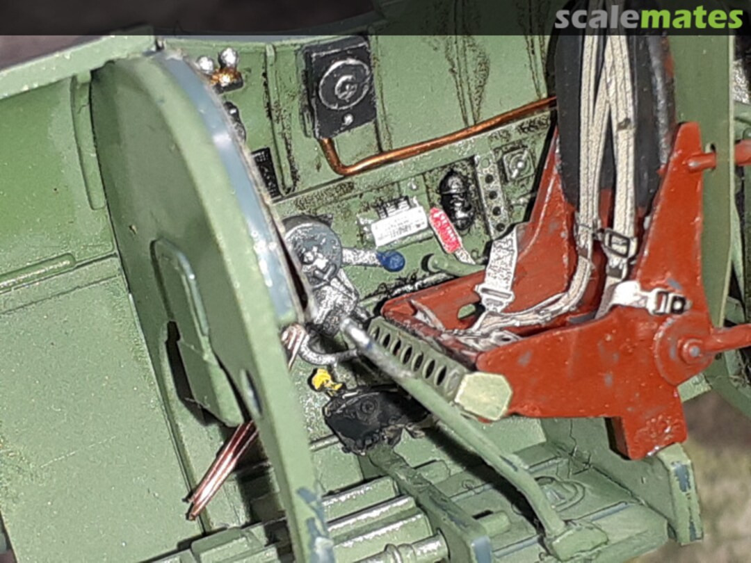 View album, image #1 View album, image #1