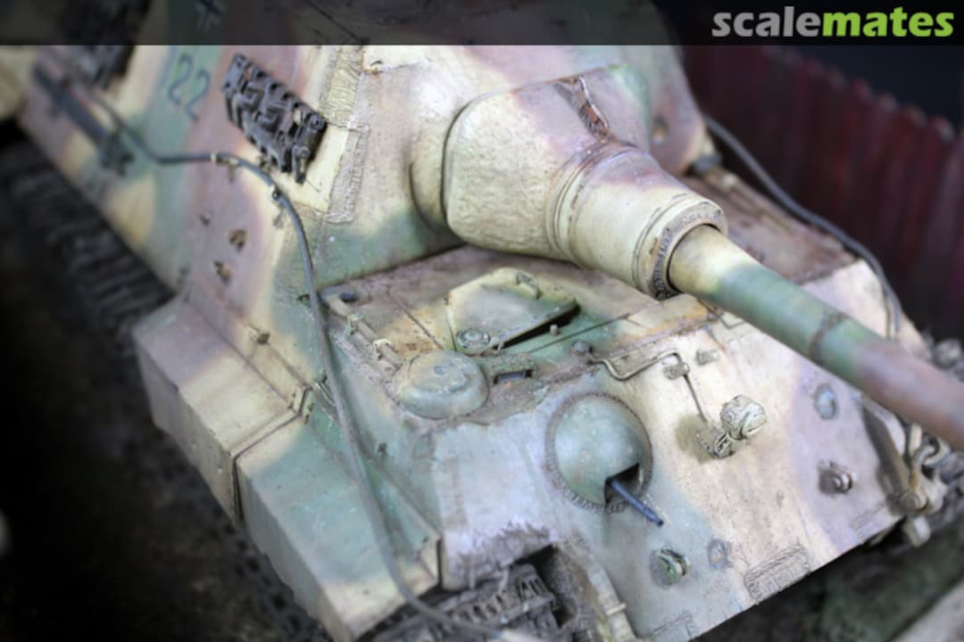 View album, image #4 View album, image #4