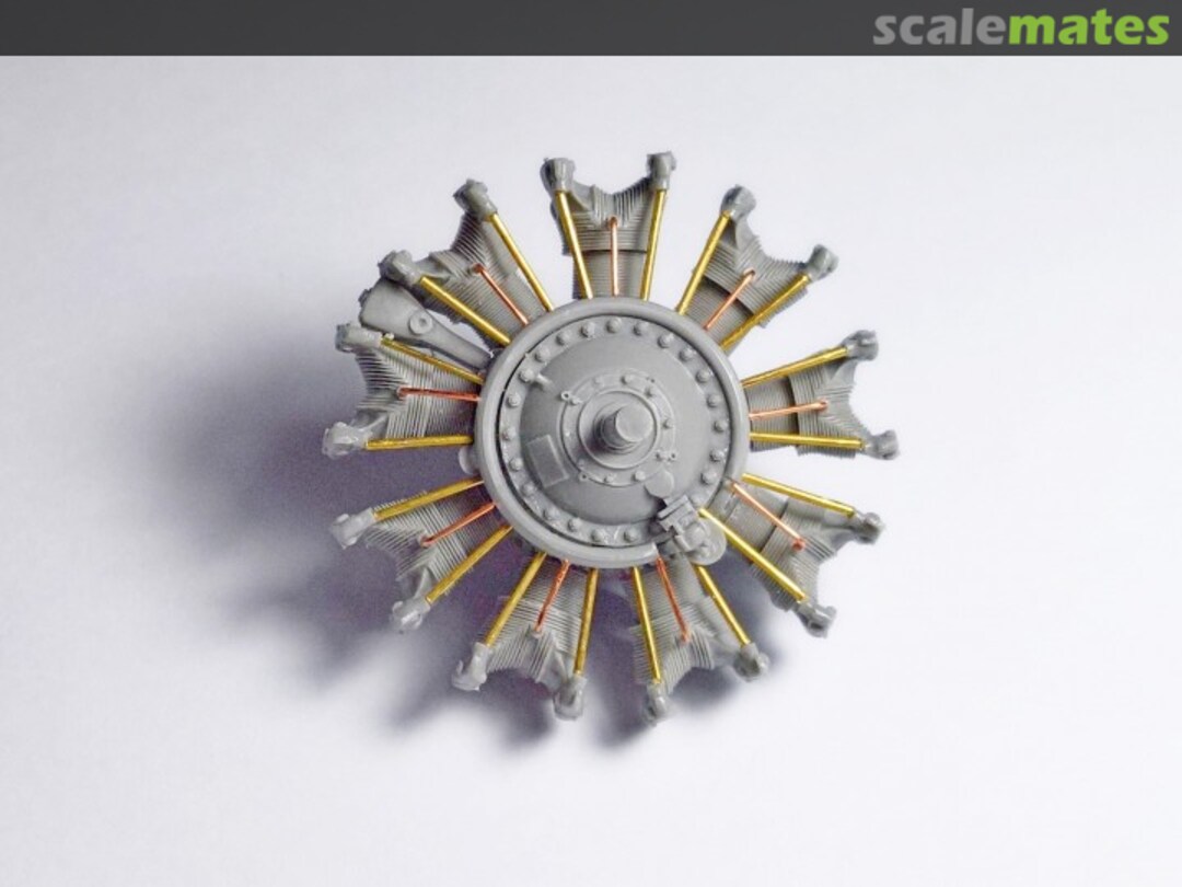 View album, image #16 View album, image #16