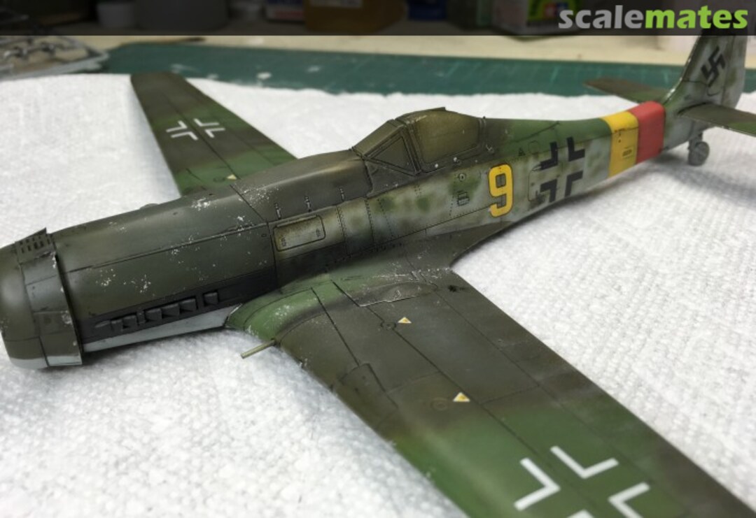 View album, image #25 View album, image #25