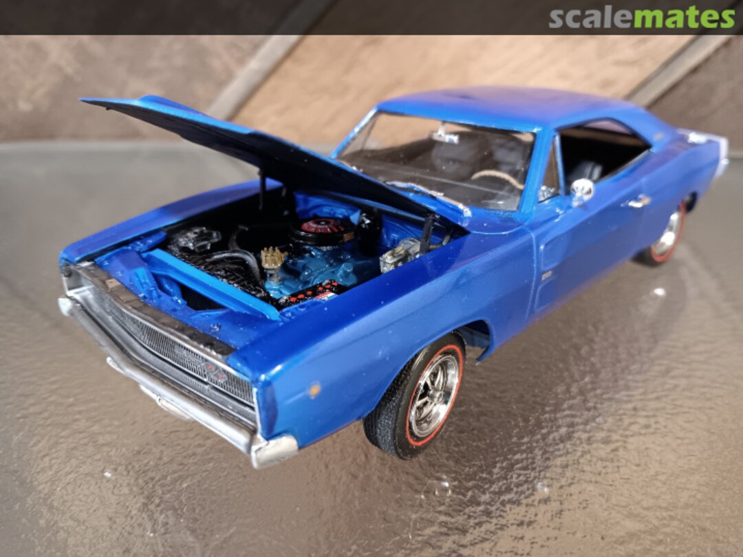 View album, image #1 View album, image #1