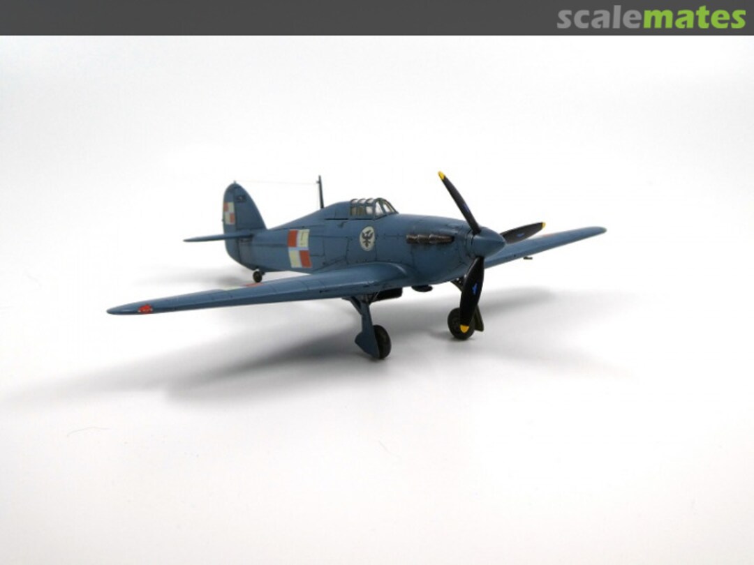 View album, image #10 View album, image #10