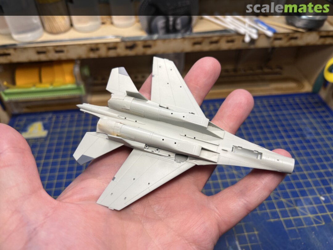 View album, image #1 View album, image #1