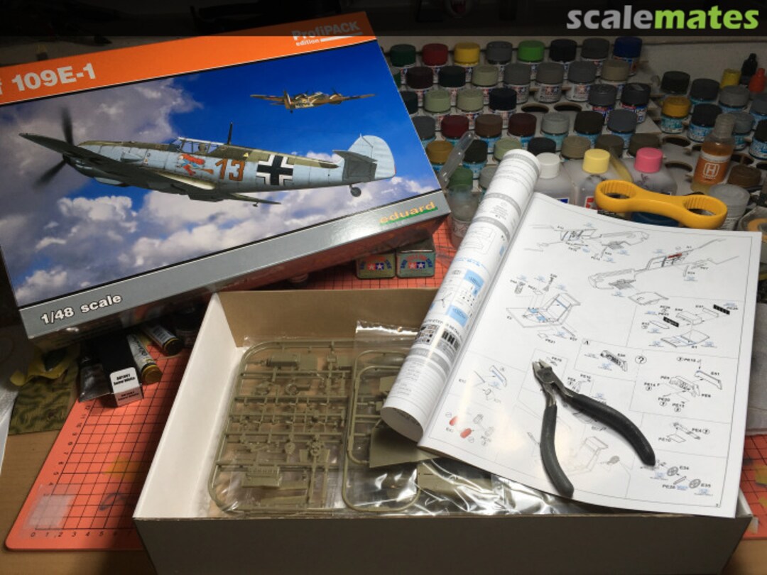 View album, image #1 View album, image #1