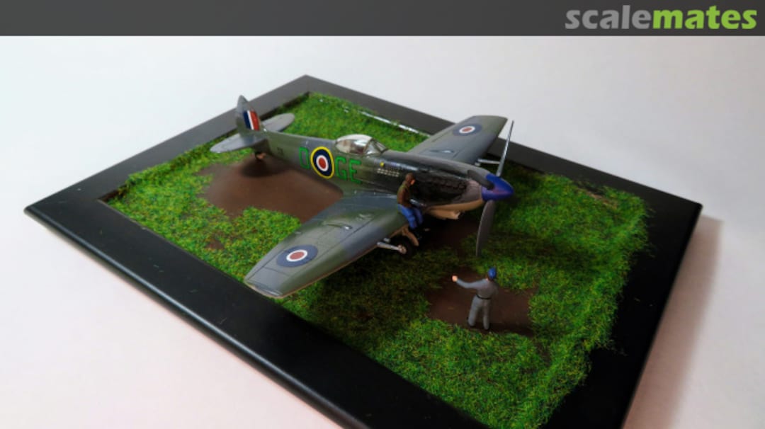 View album, image #39 View album, image #39