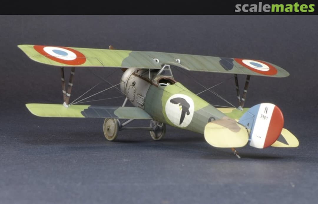 View album, image #1 View album, image #1