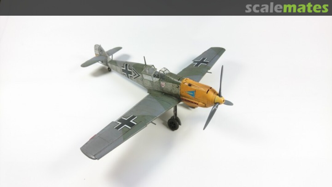 View album, image #20 View album, image #20