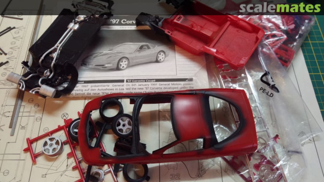 View album, image #1