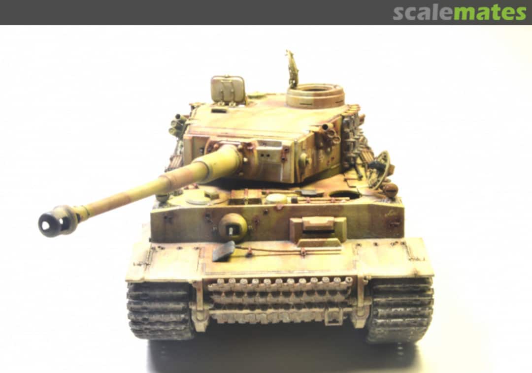 View album, image #1 View album, image #1