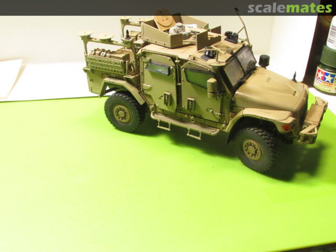 View album, image #1 View album, image #1