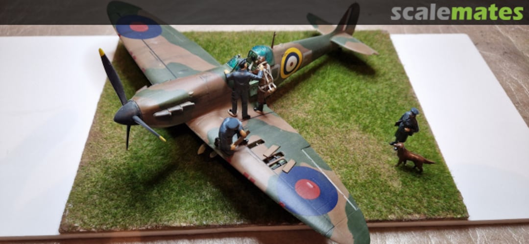 View album, image #8 View album, image #8