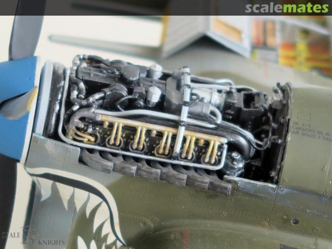 View album, image #3