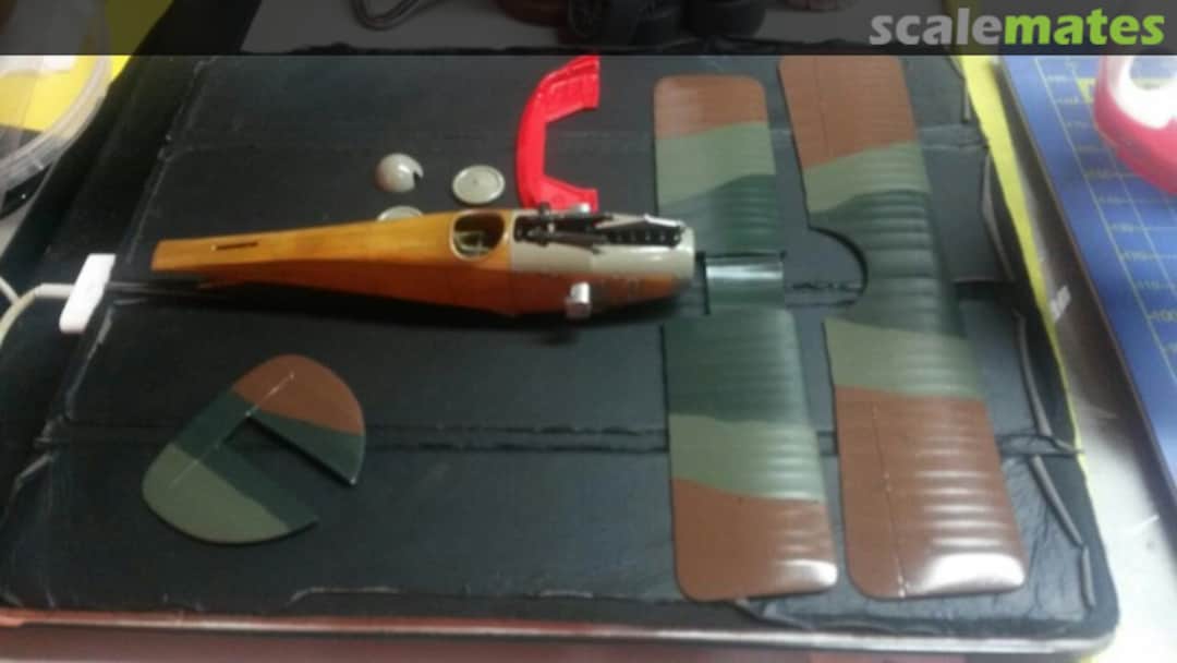 View album, image #1 View album, image #1