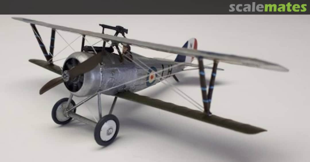 View album, image #1 View album, image #1