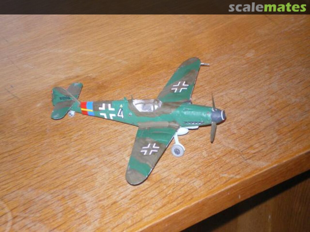 View album, image #11 View album, image #11