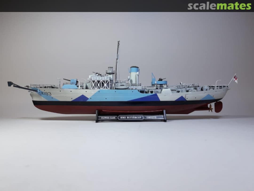 View album, image #1 View album, image #1