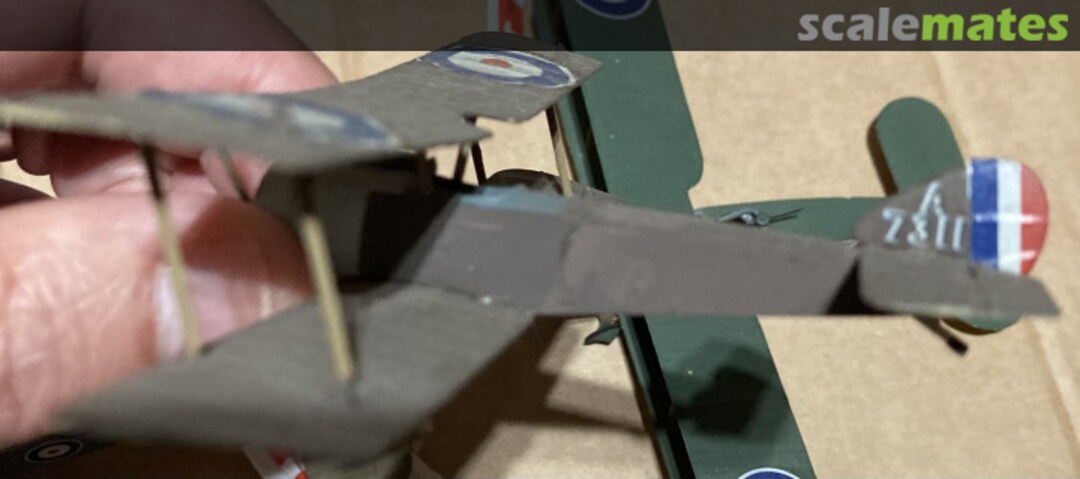 View album, image #1 View album, image #1