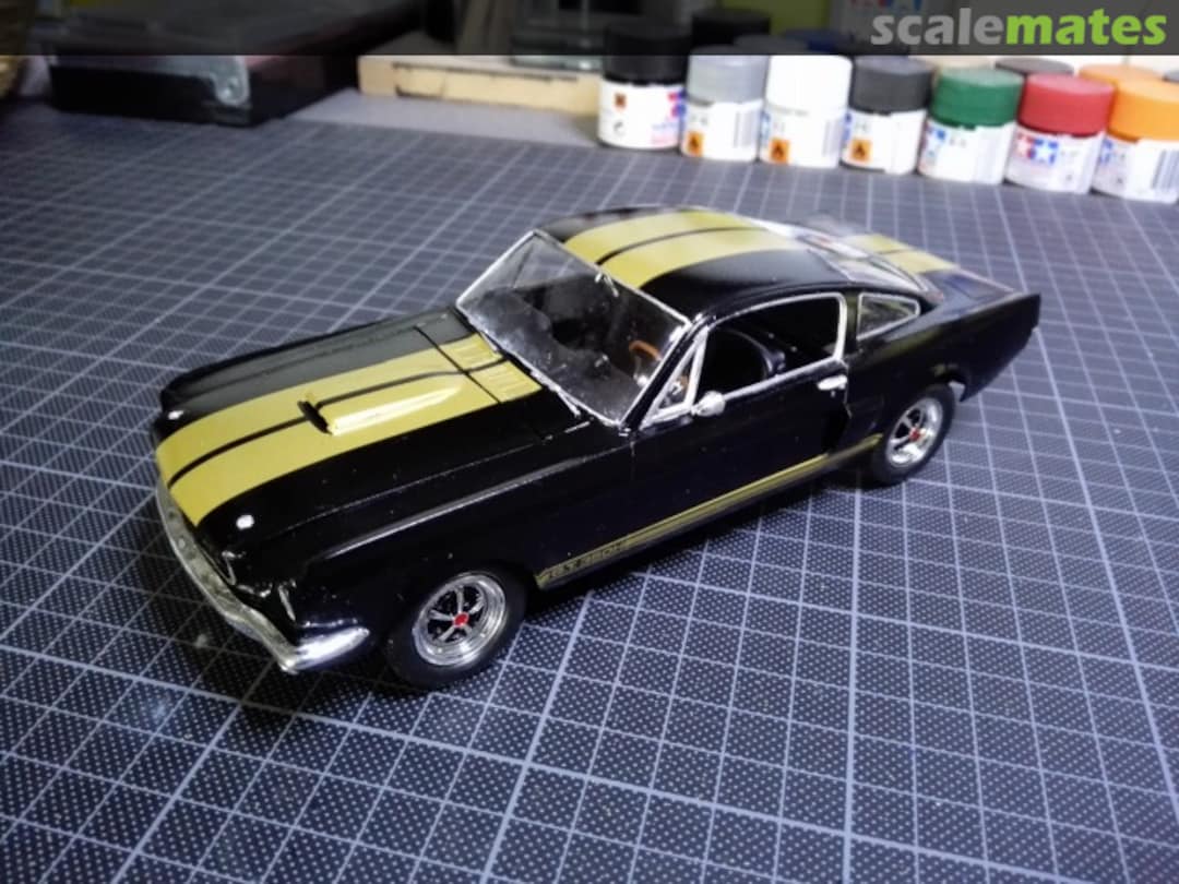 View album, image #3