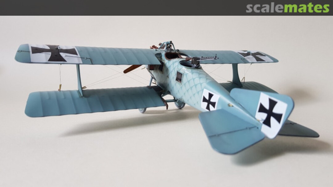 View album, image #1