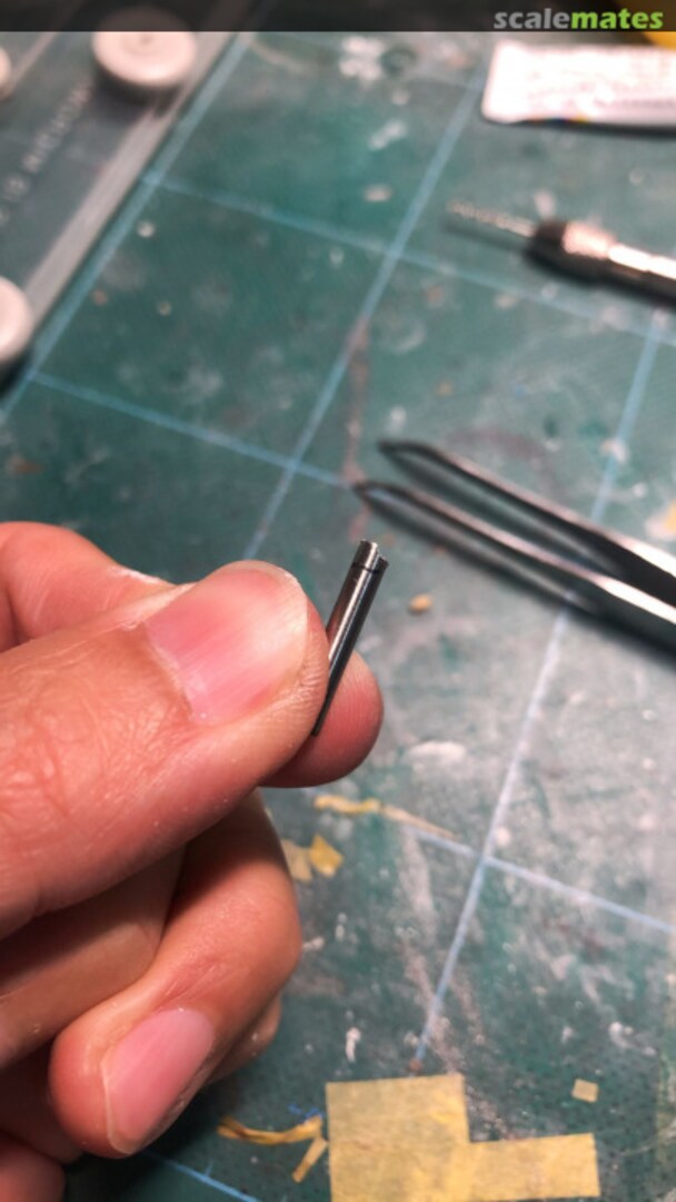 View album, image #1 View album, image #1