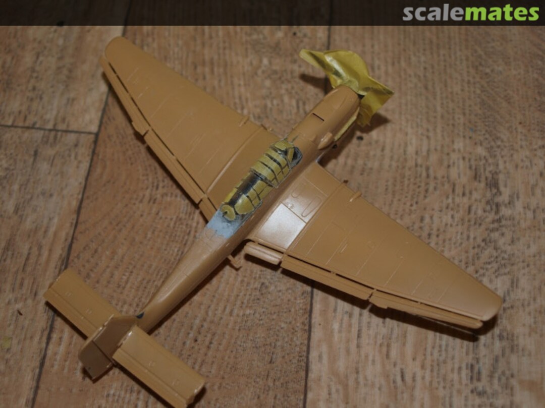 View album, image #1 View album, image #1