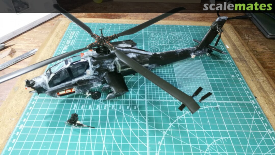 View album, image #1 View album, image #1