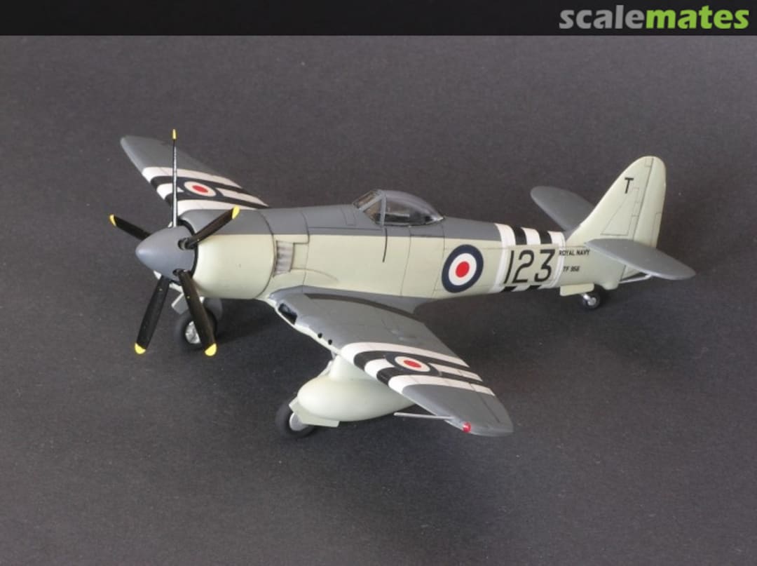 View album, image #13 View album, image #13