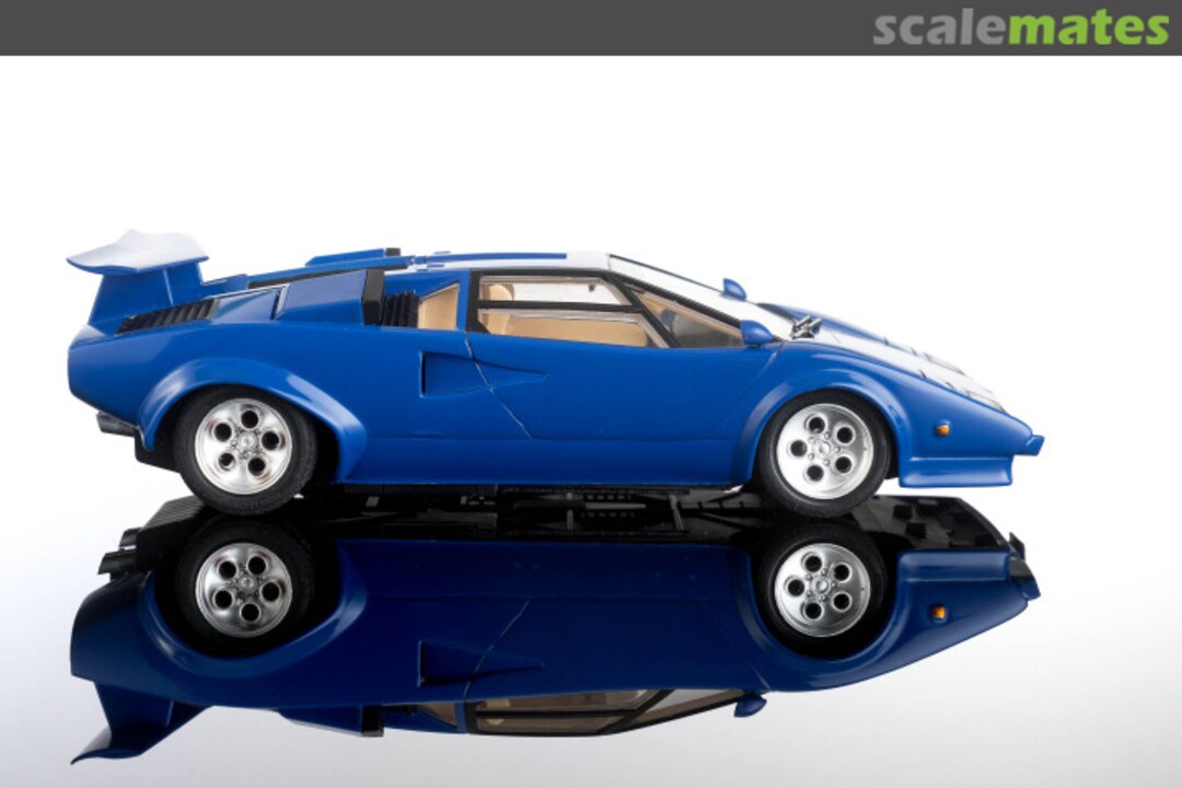 View album, image #6 View album, image #6