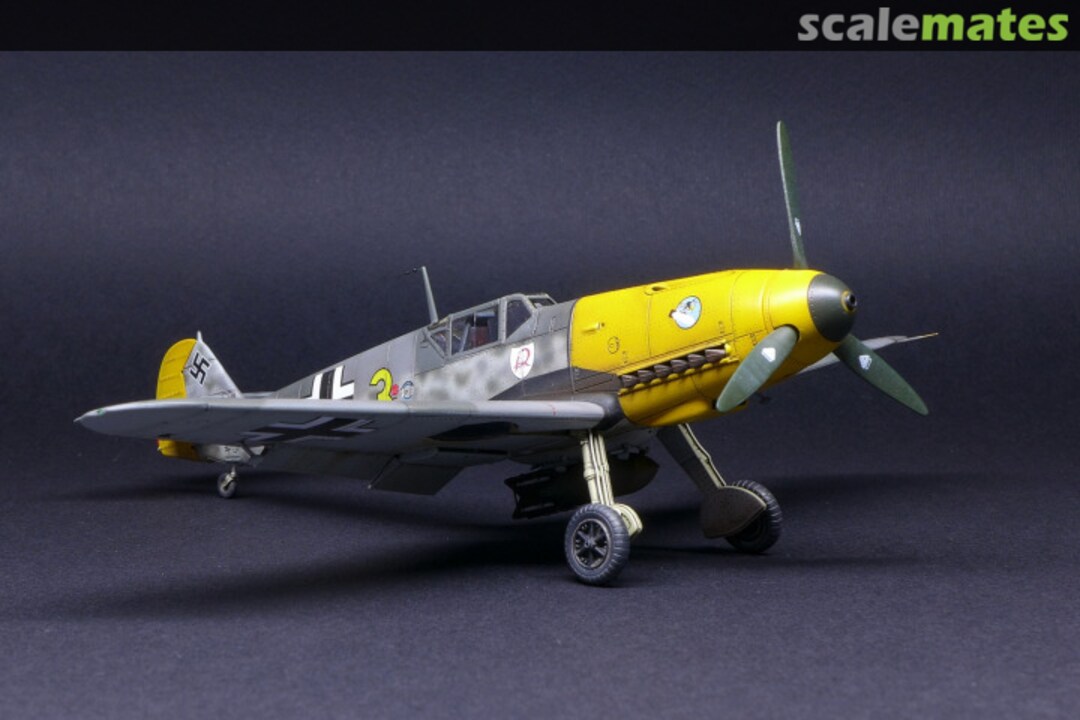 View album, image #1 View album, image #1