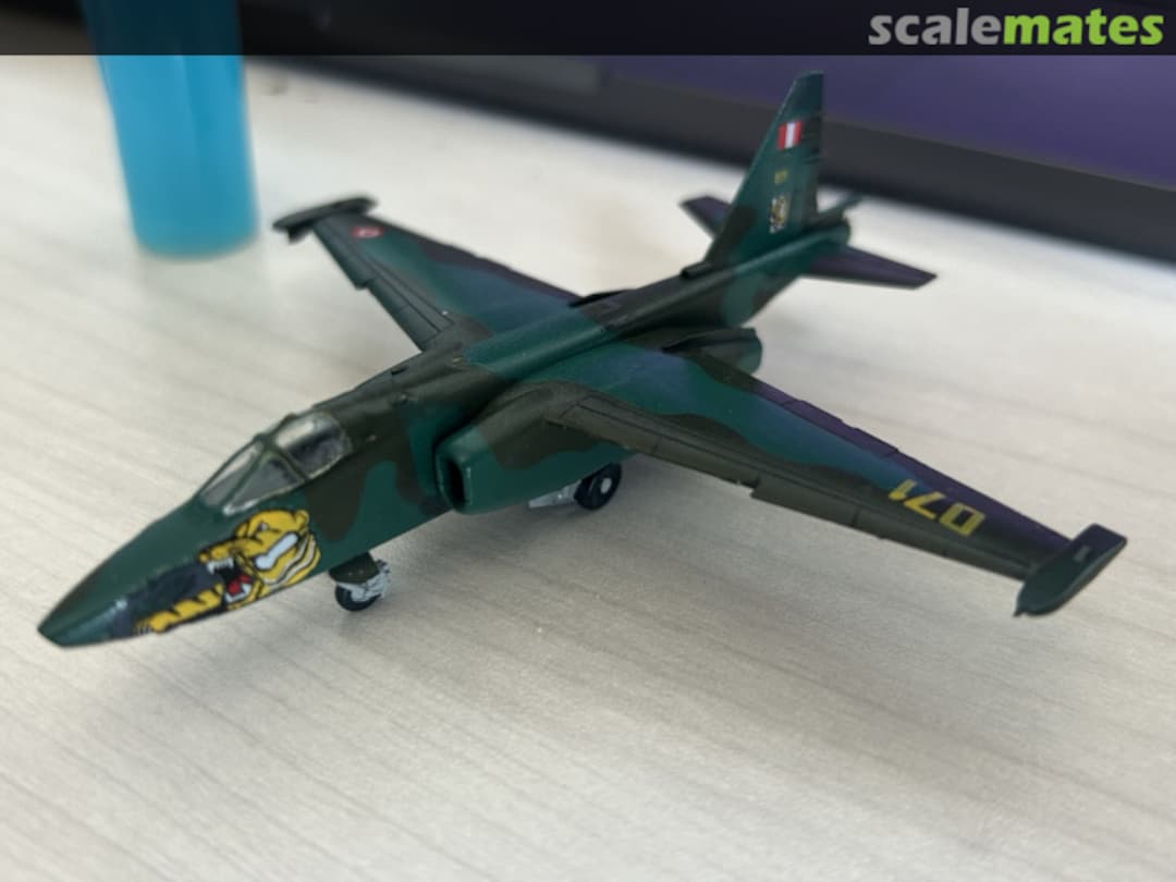 View album, image #4 View album, image #4