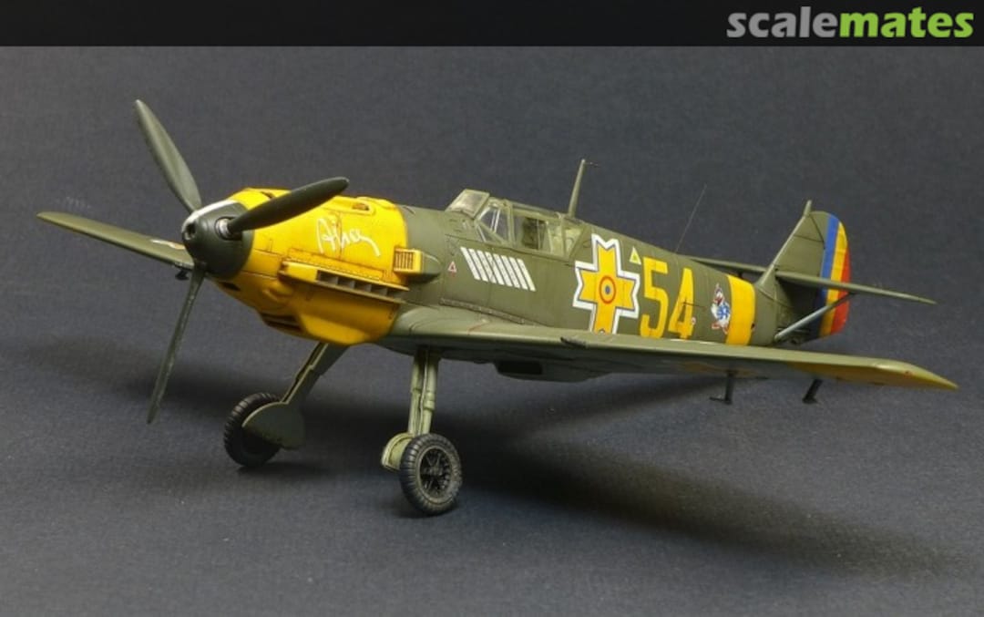 View album, image #1 View album, image #1