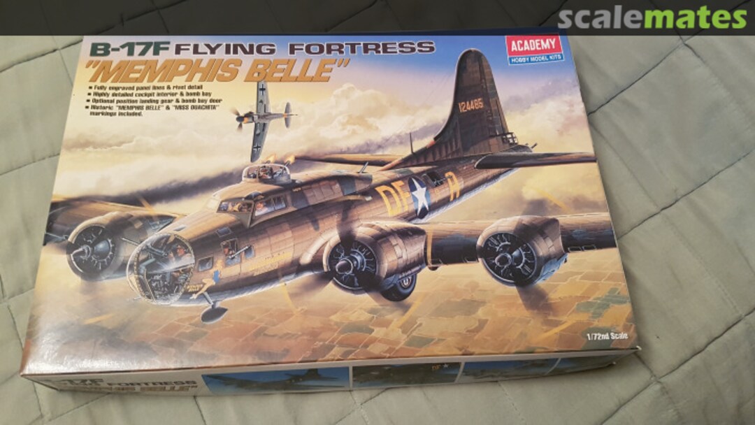 View album, image #1 View album, image #1