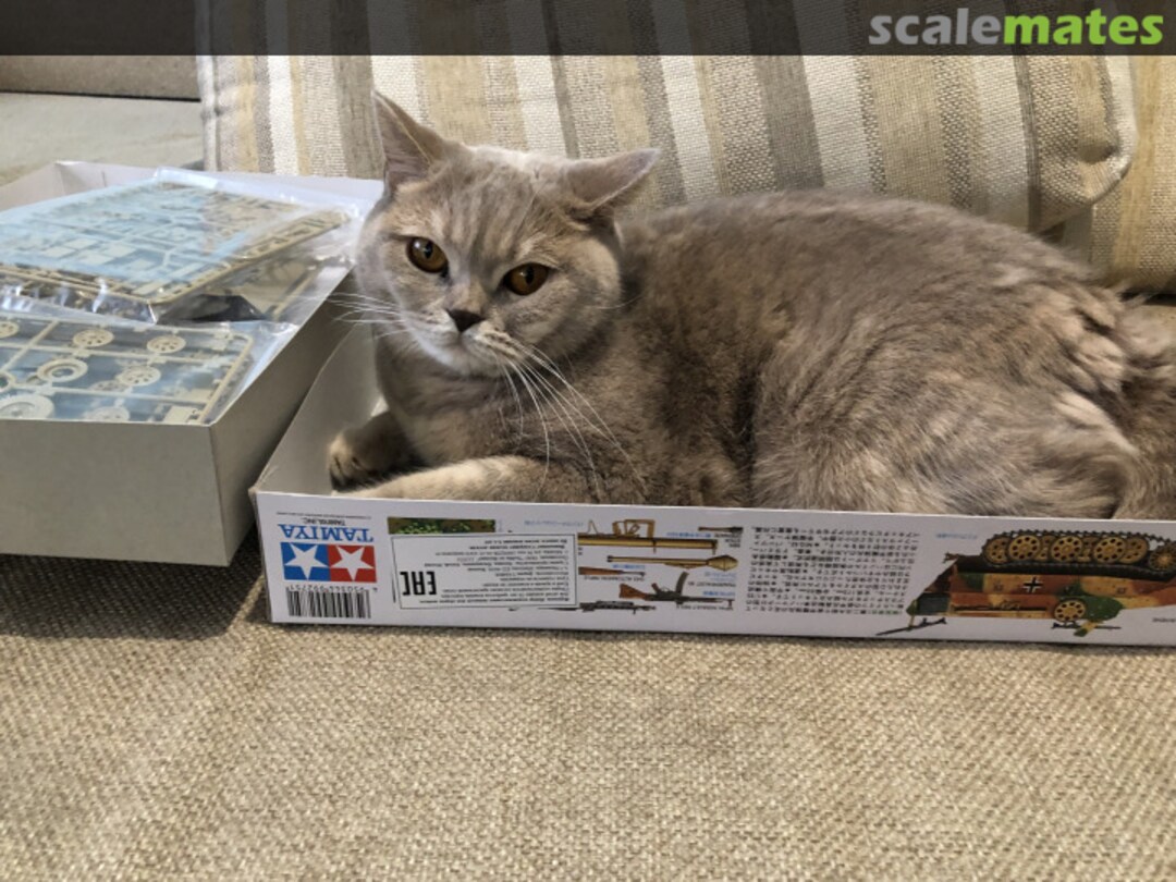 View album, image #1 View album, image #1