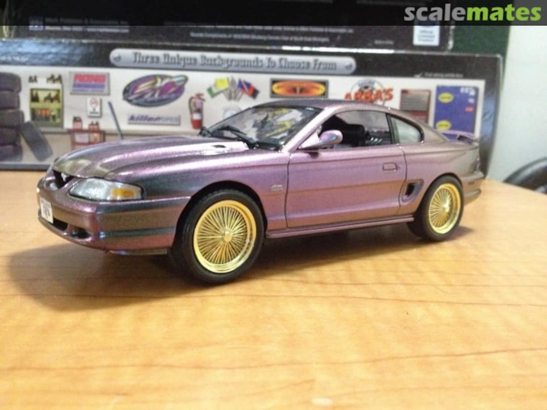 View album, image #2