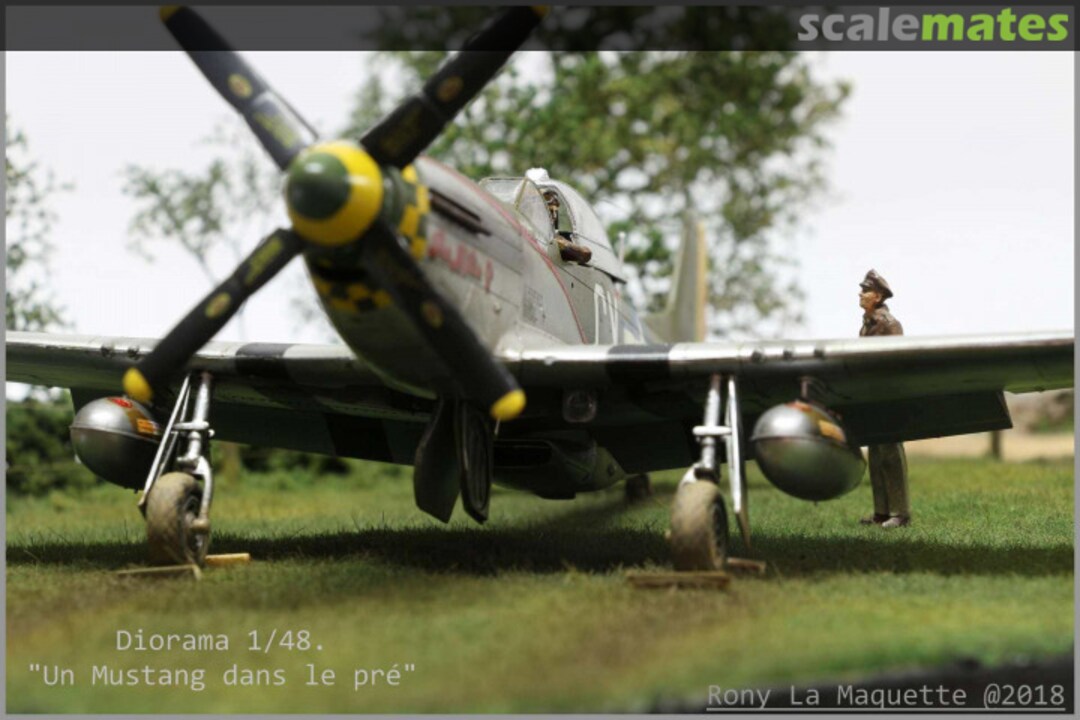 View album, image #1