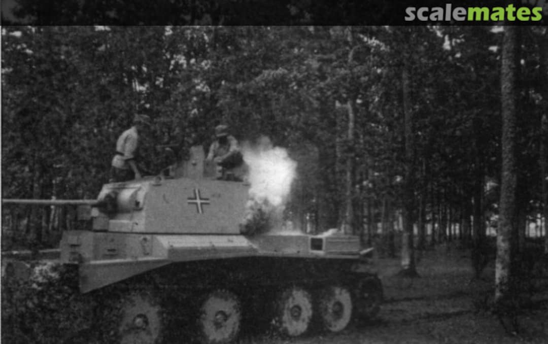 View album, image #1 View album, image #1