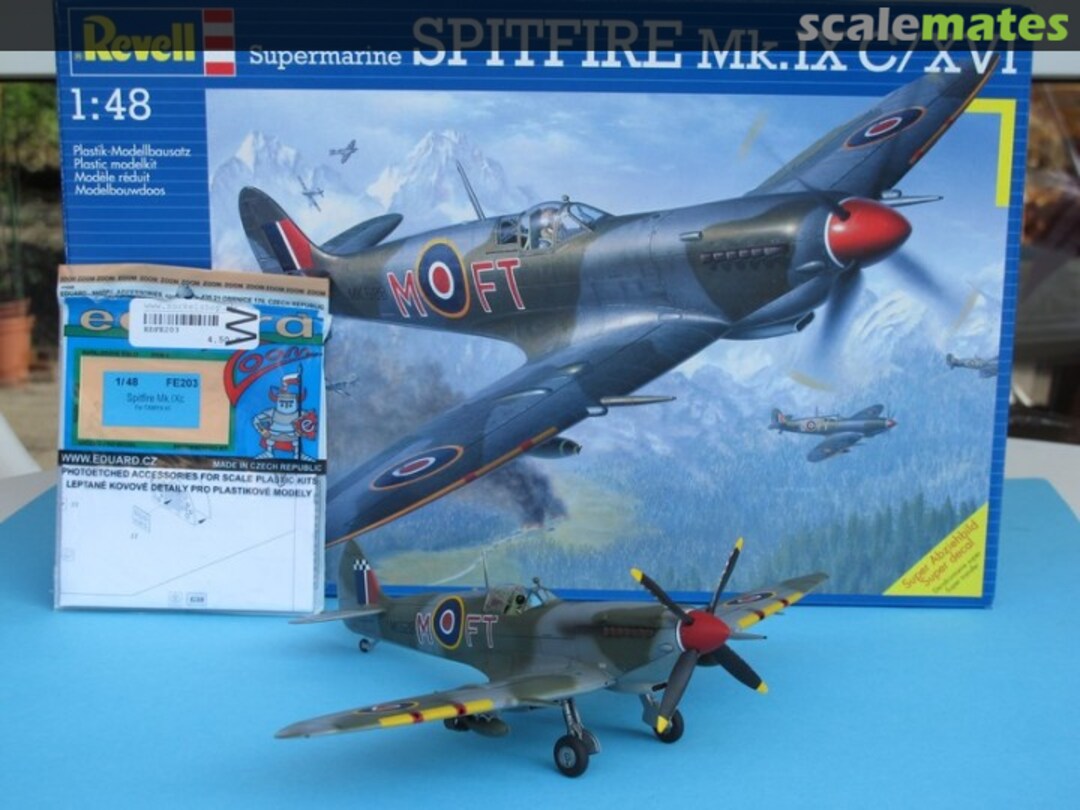 View album, image #17