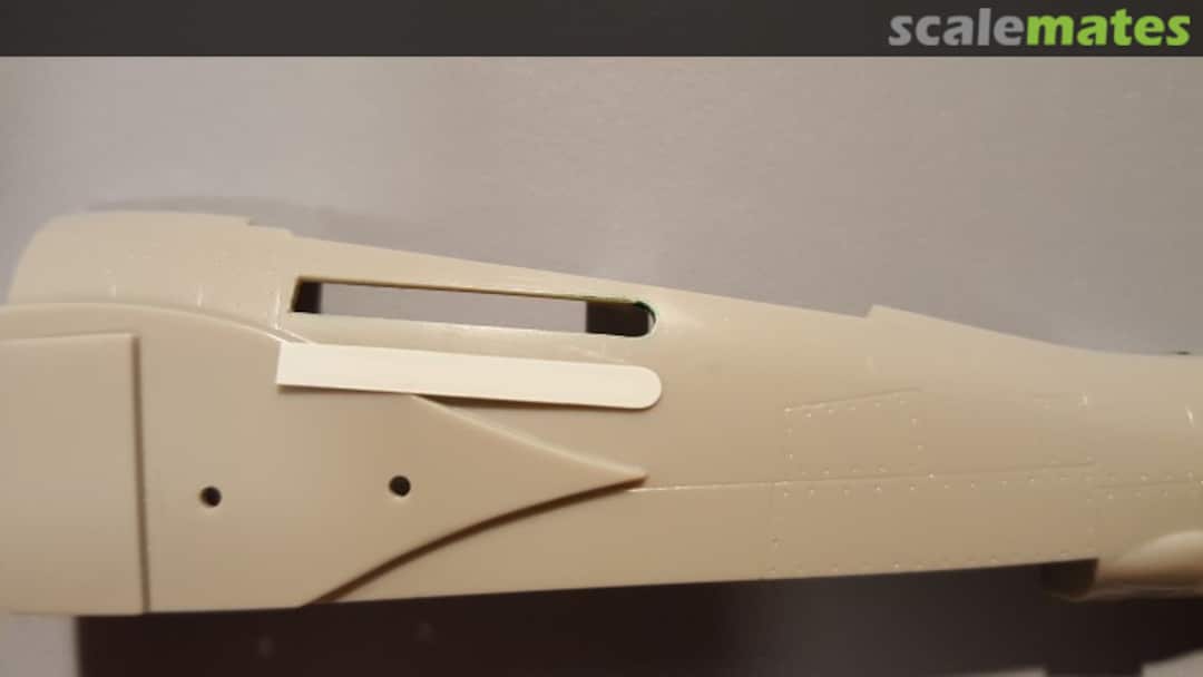 View album, image #1