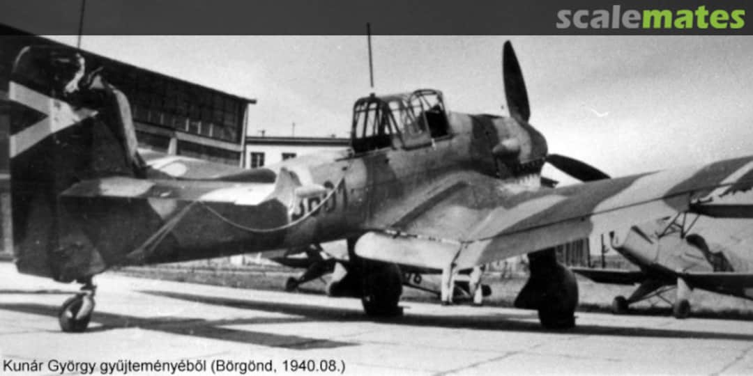 View album, image #1 View album, image #1