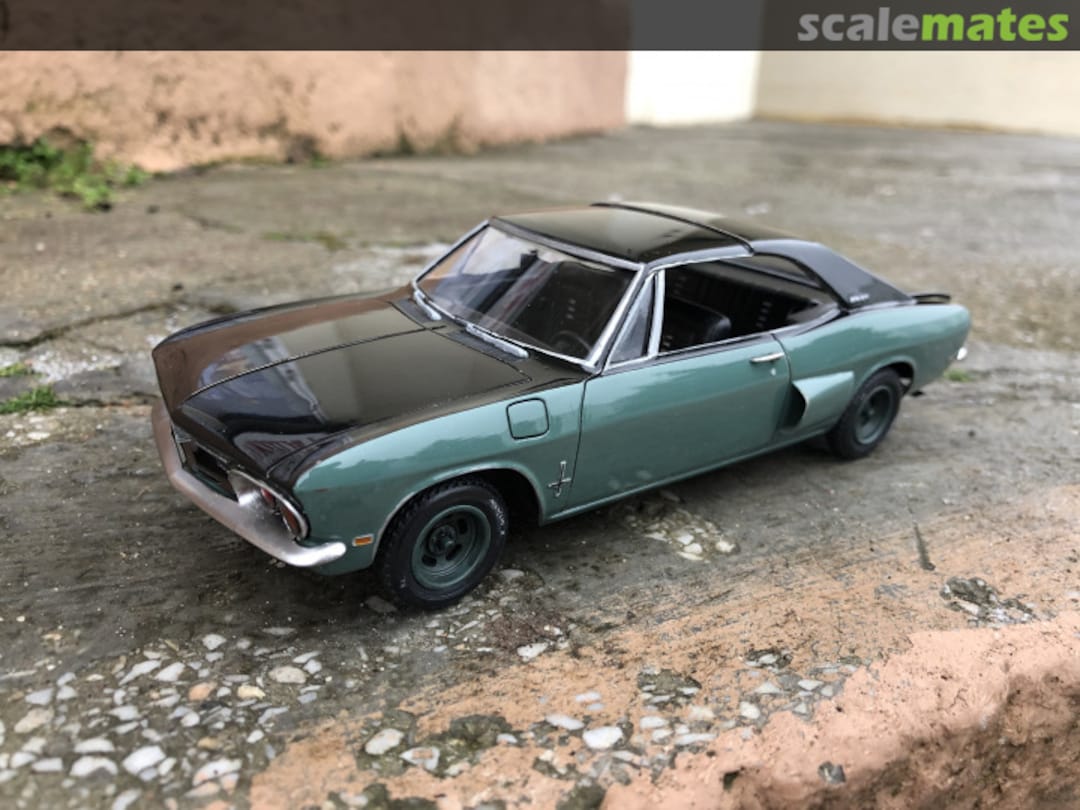 View album, image #1 View album, image #1