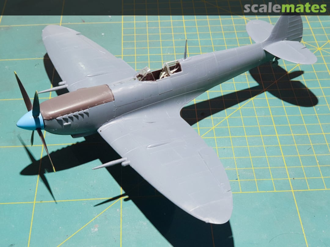 View album, image #6 View album, image #6