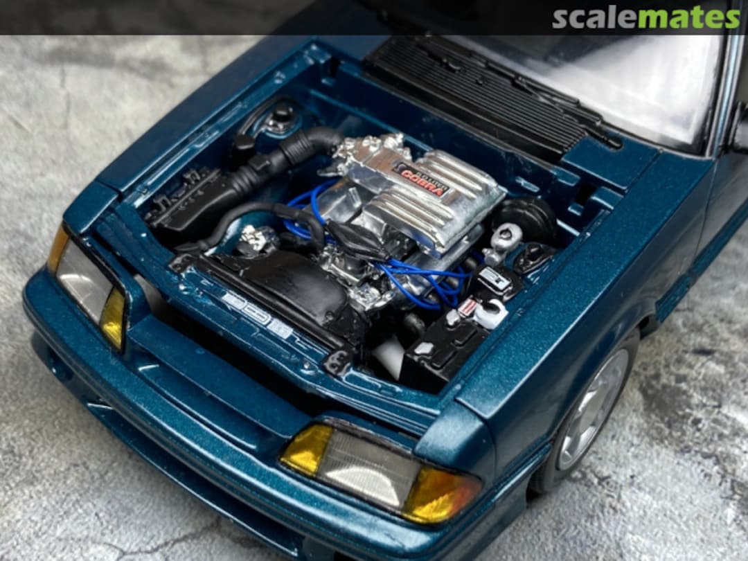 View album, image #1