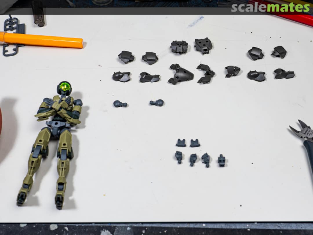 View album, image #1 View album, image #1