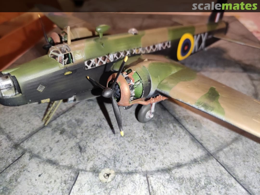 View album, image #40