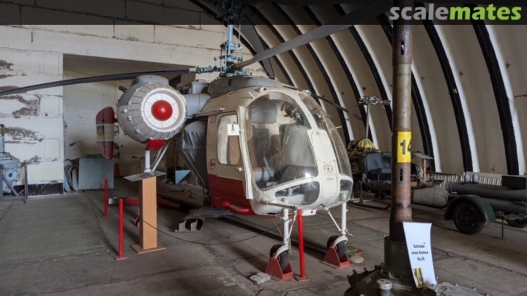 View album, image #1