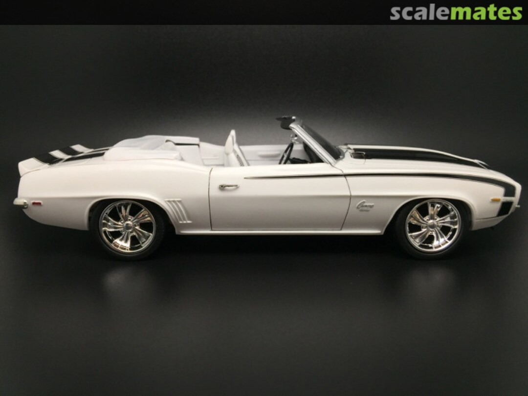 View album, image #1 View album, image #1