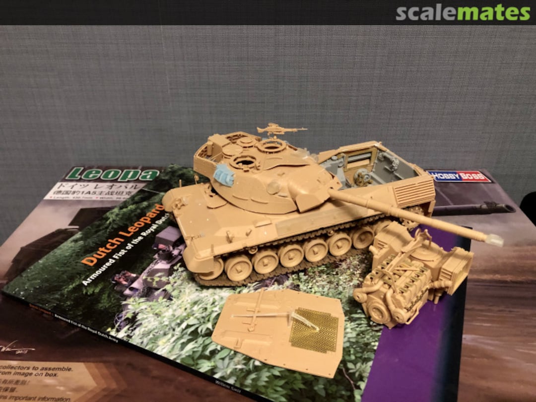 View album, image #1 View album, image #1