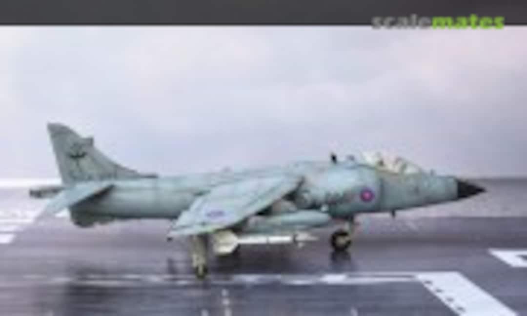 British Aerospace Sea Harrier FRS.1 1:48