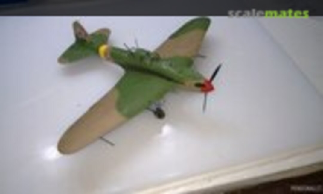 Ilyushin Il-2 Stormovik 1:48