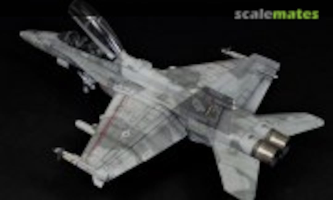 McDonnell Douglas F/A-18B Hornet 1:32